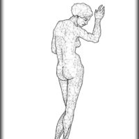ANATOMIA DEL VETRO