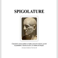 SPIGOLATURE