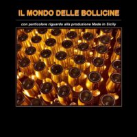 IL MONDO DELLE BOLLICINE